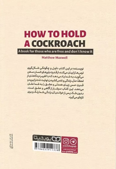 چطور یک سوسک را در دست بگیریم